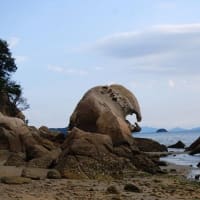 国指定の天然記念物 岡山県倉敷の象岩