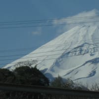富士山が美しかった