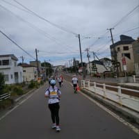 曇り空に助けられた函館マラソン