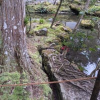 京都・鹿ヶ谷、法然院