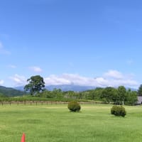 今日も暑くなりそう？