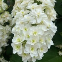 つむぎ産後ケアサロン　スタッフ研修会