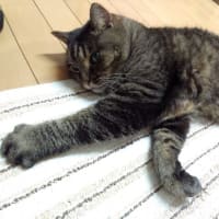 油断しまくり