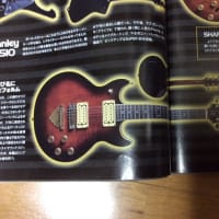 フェルナンデス ランディーVモデル JS100 - ヤンディーズ フェルナンデス ランディーVモデル JS100 - ヤンディーズ