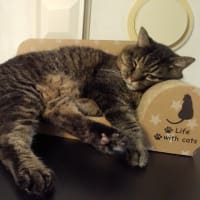 見てる見てない