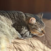 幸せそうな3人