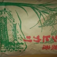 シリーズ 配達風景