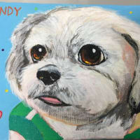 Andy～(*^^*)