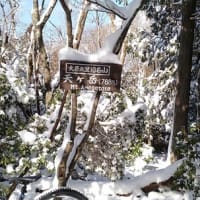 雪山ハイキング（天ヶ岳・京都北山）