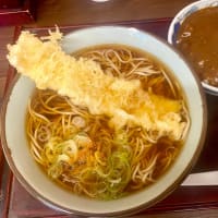 船堀そば文殊（船堀）ミニカレーセット＋イカ天