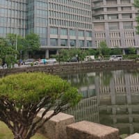 #153 -’25.　皇居東御苑（二の丸庭園を除く）を探索し