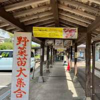 下賀茂　道の駅 湯の花　アイスカフェモカと月ヶ瀬梅ジュース