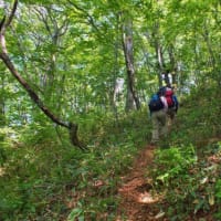 山に行きたいなぁ