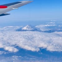 東京はすごいなぁ。