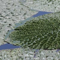 於大公園にて