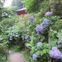 関西花の寺２５ゕ寺　第１５番・岩船寺