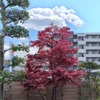ブログの危機2