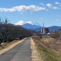 スロースターター