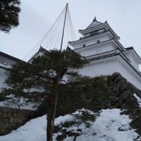 2025/3/5　きゅんパス日帰り旅行　中編2025/3/5にJR東日本の「きゅんパス」を使って日帰りで出かけてきました。