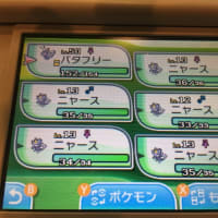 ポケモンの話 第５弾 孵化厳選のために あかいいと を手にいれよう 立川湯屋敷梅の湯 若旦那のフロント日記