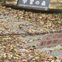 第29回ハイキングおじさんに行こう！　の再度公園とアジサイ巡り 下見編