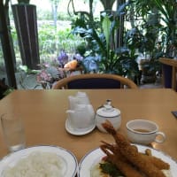 評判のエビフライ定食に魅せられて考えたこと