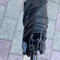 朝ウォーキングの風景。令和7年6月28日。日傘は必須ですな。