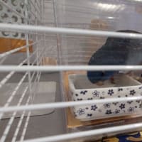 理学療法士さん、はじめまして
