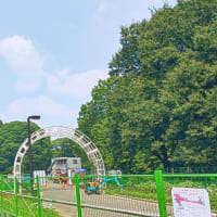 大雨あとの涼しい日。