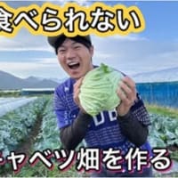 有機農業若手バッター登場！