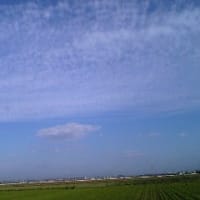 「継続は力なり」 -成功の秘訣-