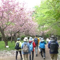 円山公園　探鳥会に初参加です。