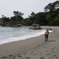 桂浜　豪気節と桃葉の碑