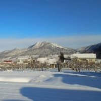 雪景色