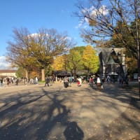 お散歩へ