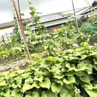 6月25日（水）③
