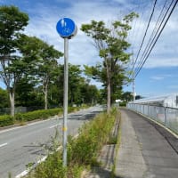 夏の思い出をたくさん作りましょう！🌳