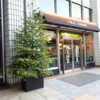 モミの木のクリスマスツリー