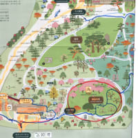 　戦後西ドイツのグラフィックデザインモダニズム再発見　■東京都庭園美術館