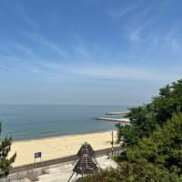 夏日に向かえ