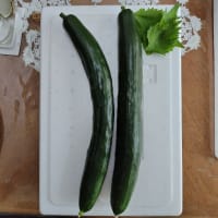 ブルーベリー・・暑さでシワシワ