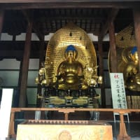 貴重な晴れ間