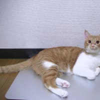 ご無沙汰しておりました（*^_^*）