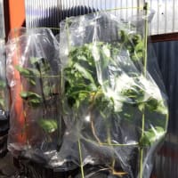 地震発生