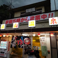 湊山温泉