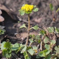 身近な里山と少し遠出した場所と