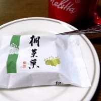 ゴーヤーのお花にマルハナ蜂