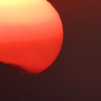 入梅前の荒尾海岸の夕陽・・・2025年6月
