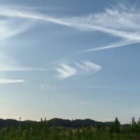 妹と同じ時刻に撮った同じ雲