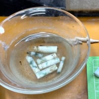 「出した光沢」はヒスイがニコニコしているのデス・・・情けないヒスイ製品のリメイク